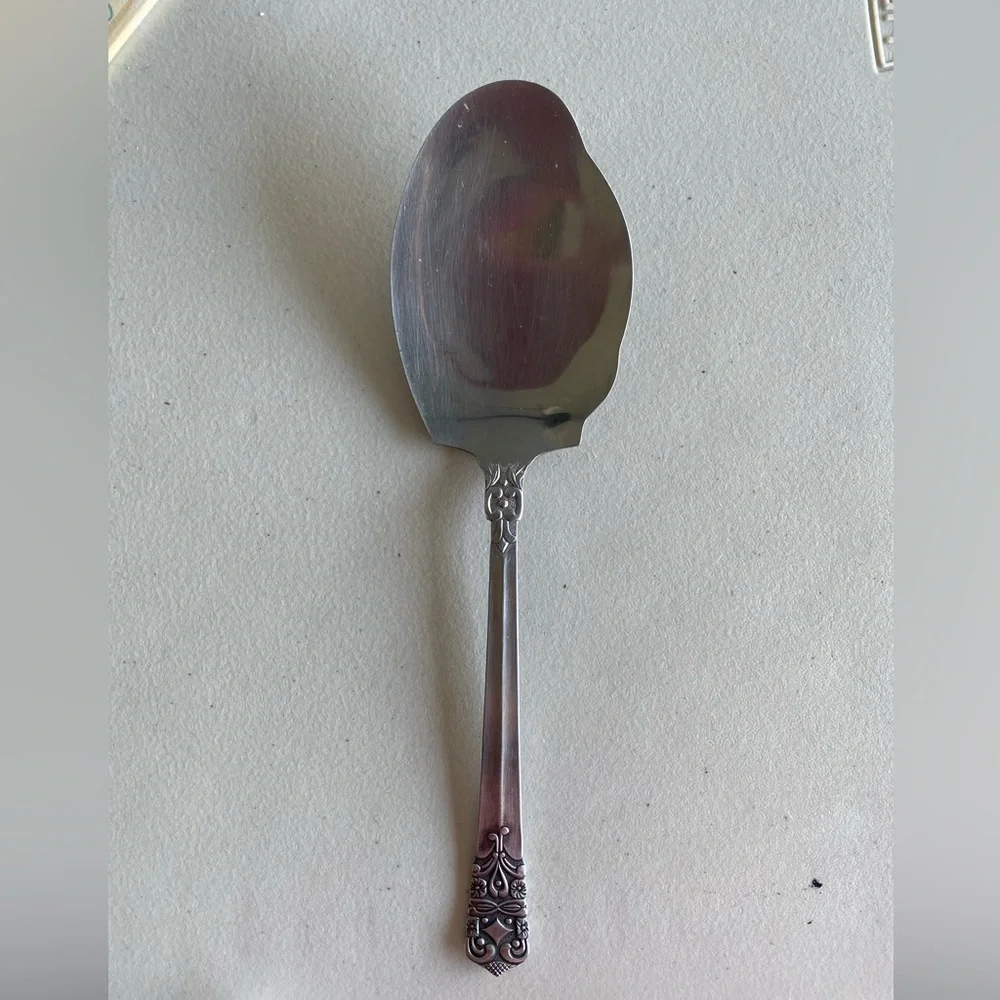 Elegant stainless steel serving spoon